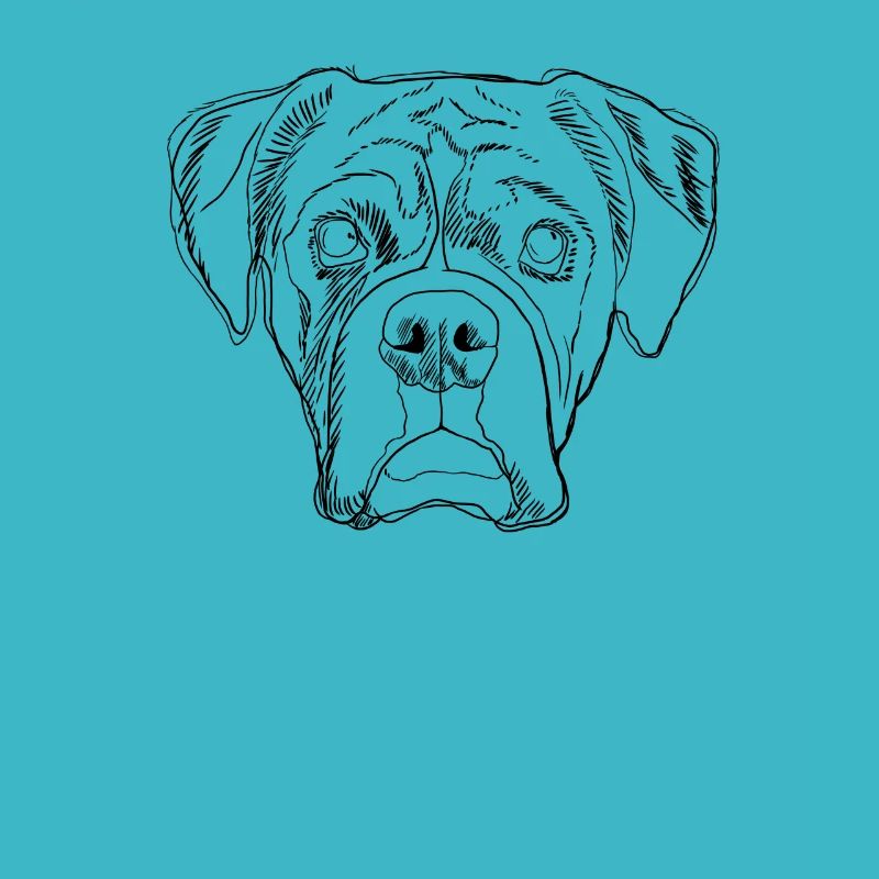 Boxer Dog