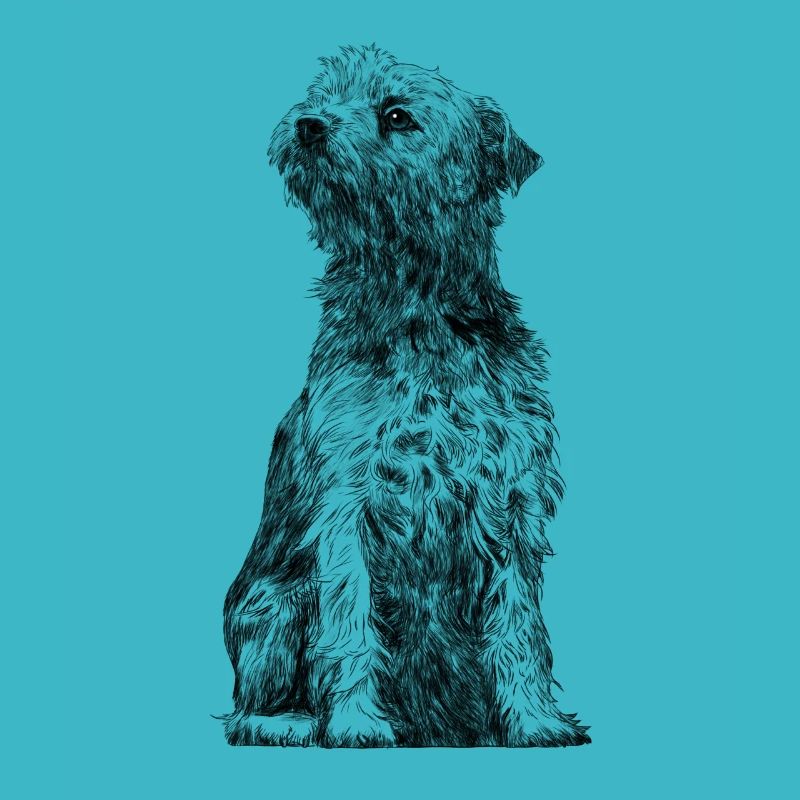 Sitzender Border Terrier Dog