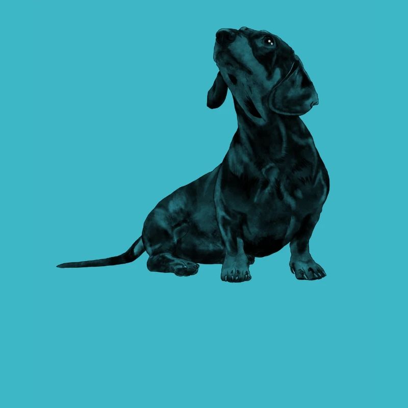 Sitting Dachshund