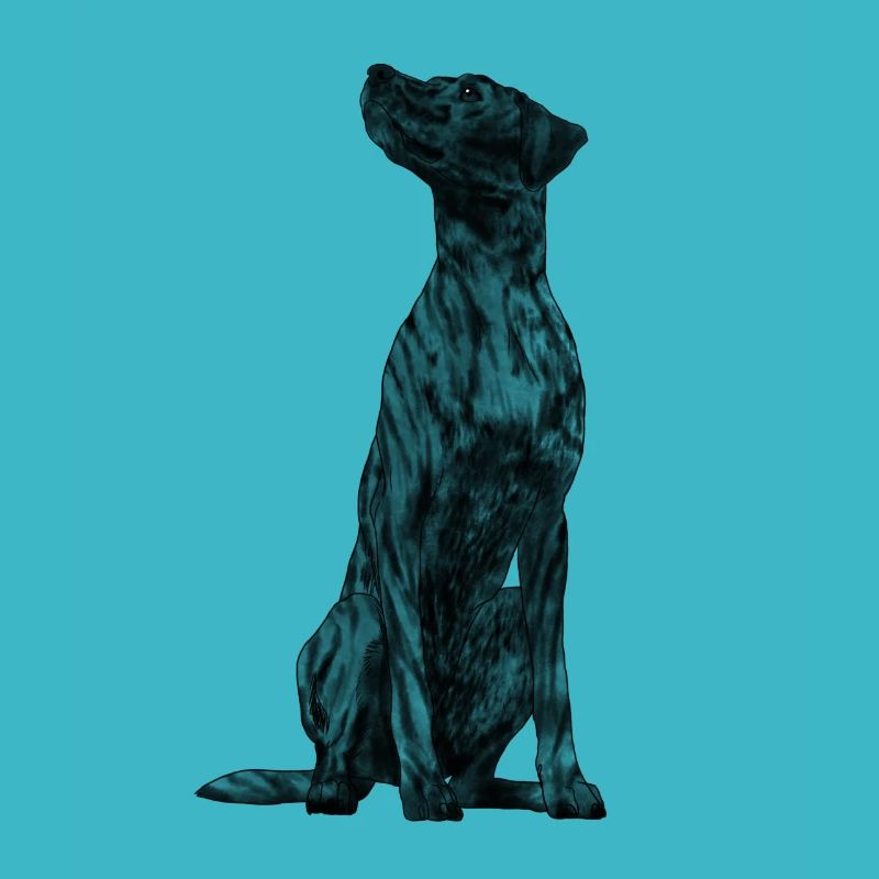 Sitzender Plott Hound Hund