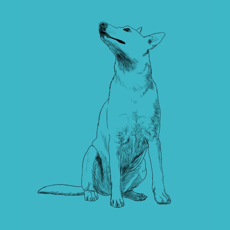 Cane carolina seduto