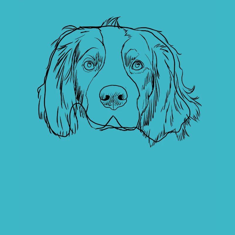 Strokes Welsh Springer Spaniel Hund