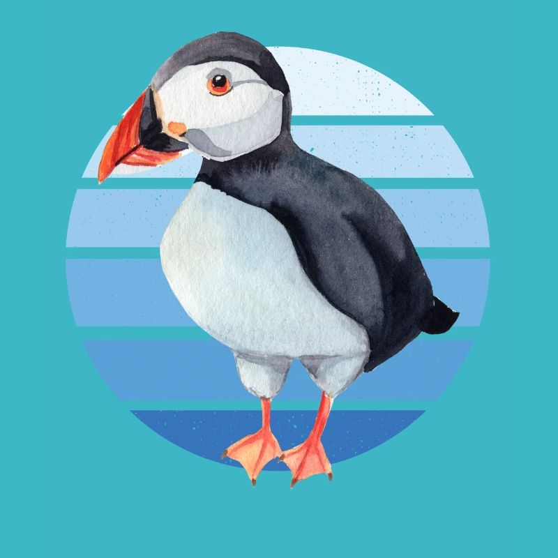 Puffin Parrot Lunde Bird Cadeau