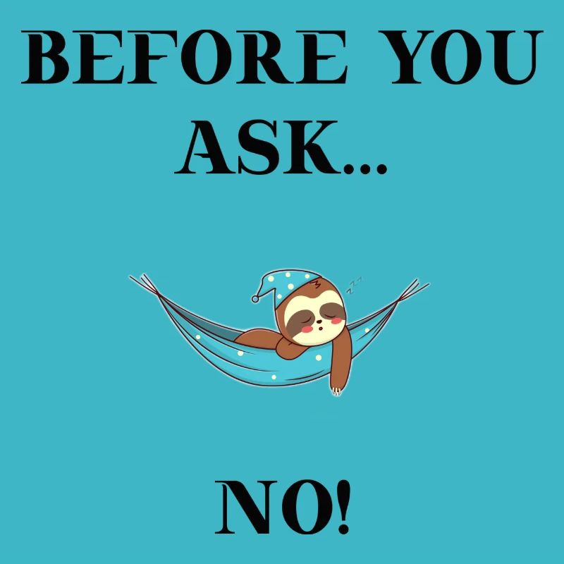 Sloth Before you ask.. No! Funny gift idea