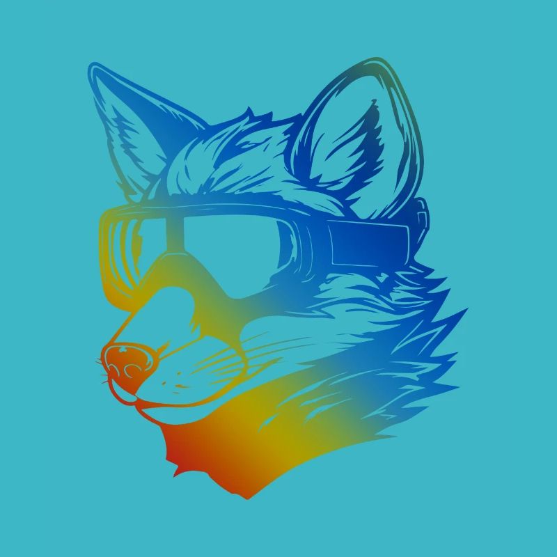 Fuchs Snowboard Ski Brille Bunt