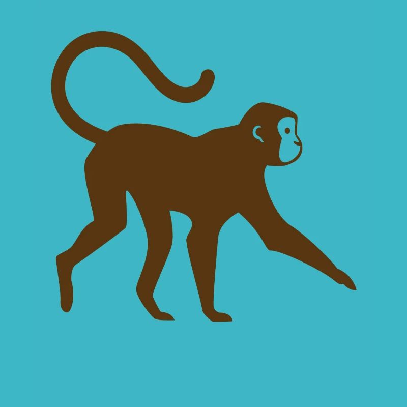 Monkey Monkey Face Wilderness Wild Animals Wild Gift