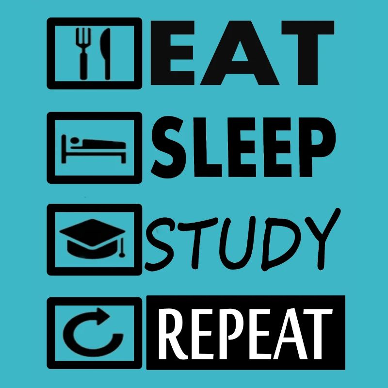 Study Study Student Szudentin Gift Idea