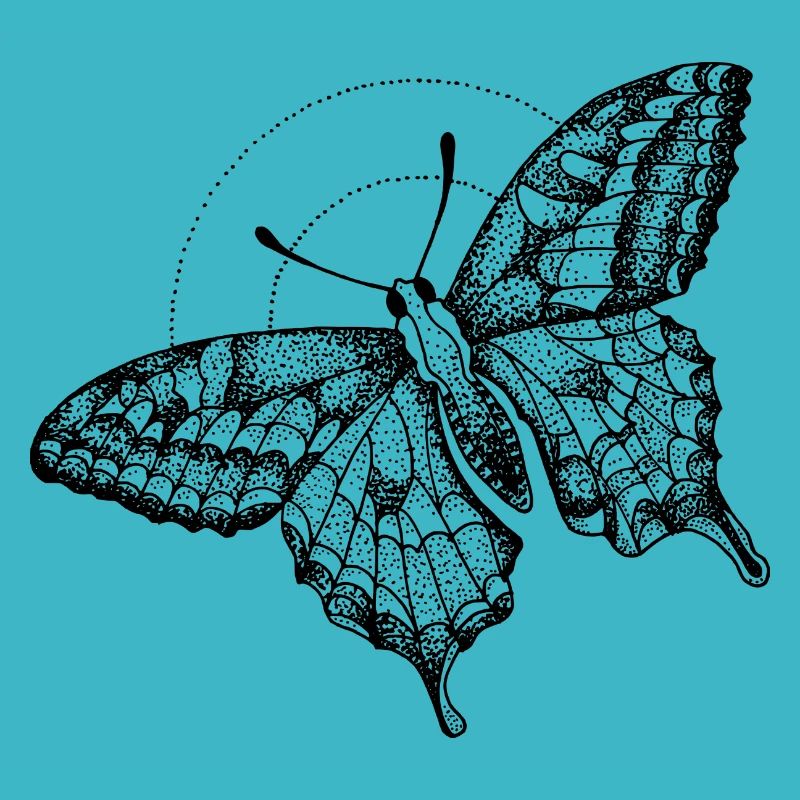 Nachtschmetterling