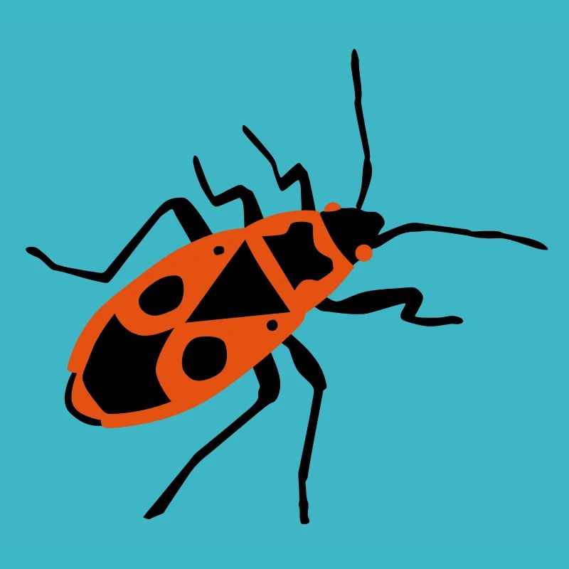Fire beetle - insect - Firebug