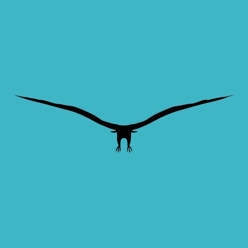 oiseau