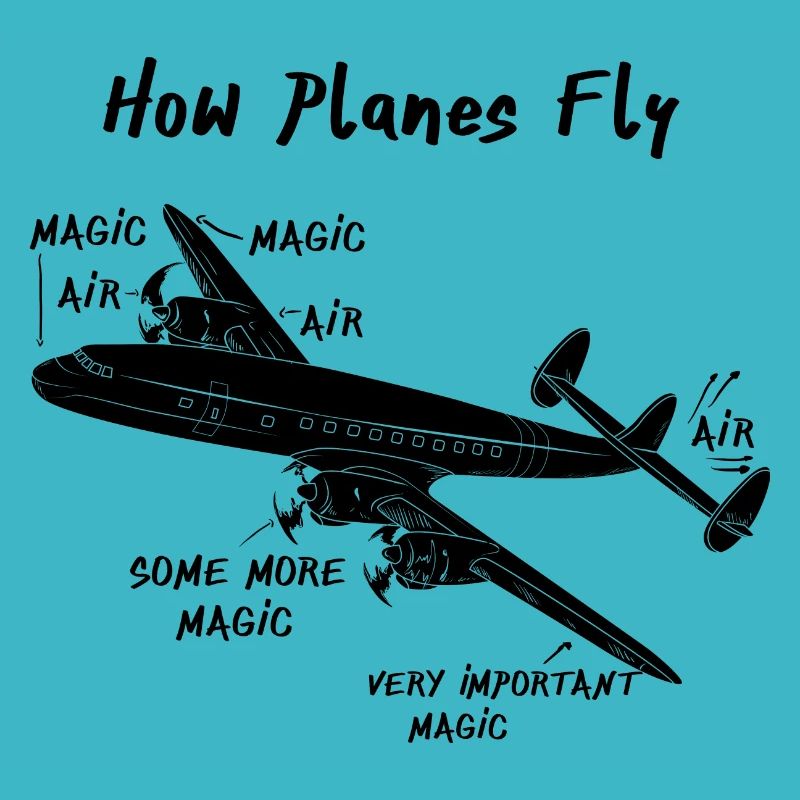 Comment les avions volent