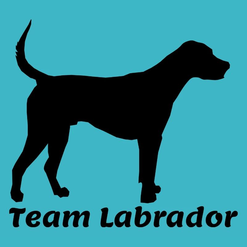 Chien Équipe Labrador