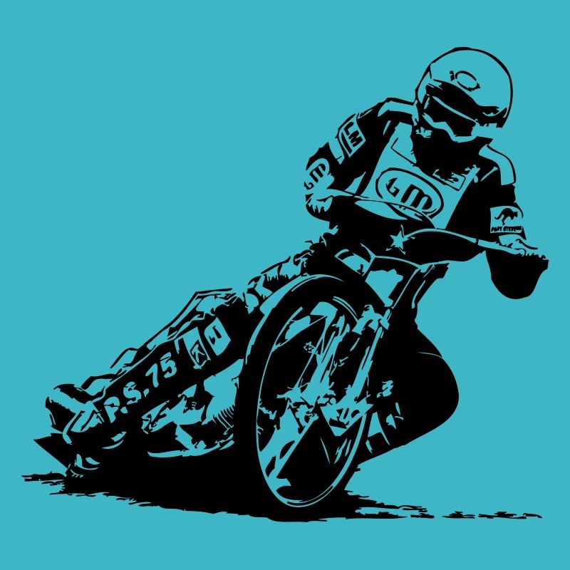 Speedway Driver