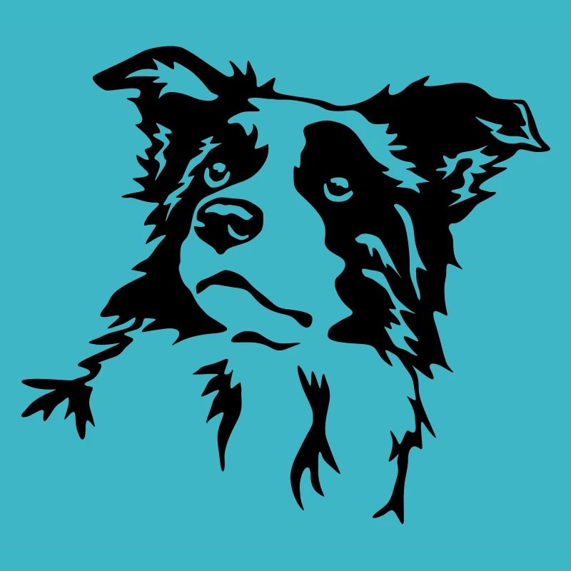 Tête de border collie