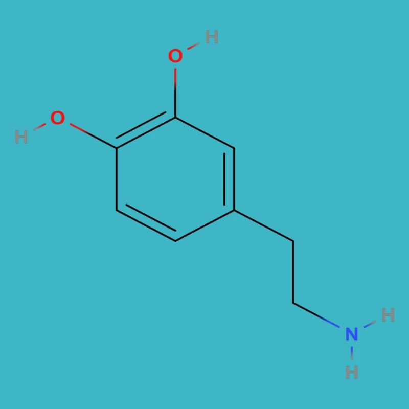 Molécule de dopamine - Formule structurelle colorée