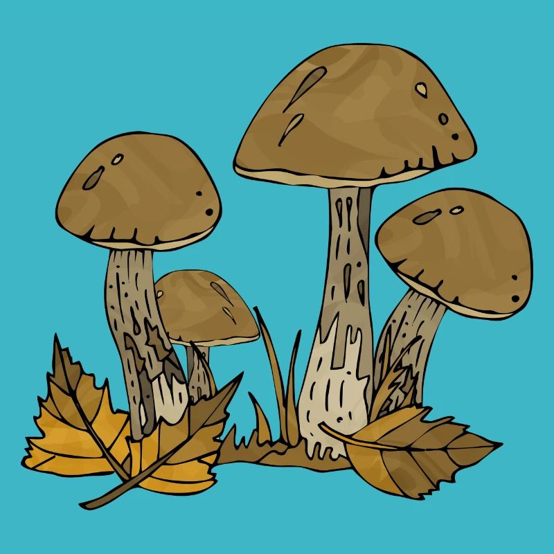 Mycètes