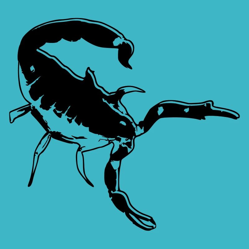 Scorpio Scorpio poisonous Spiny Arachnid Animal