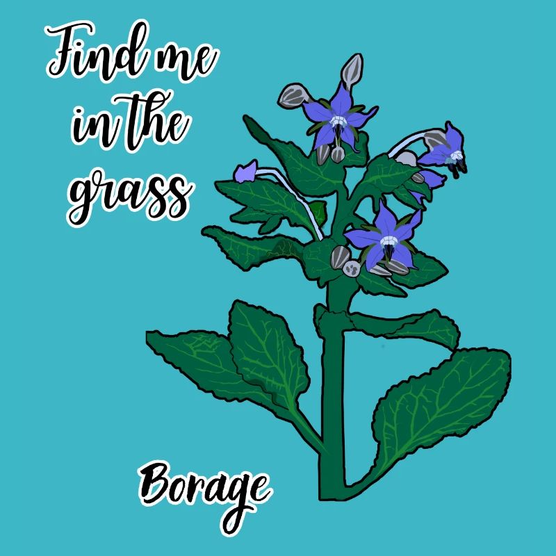 Finde mich im Gras... Boretsch