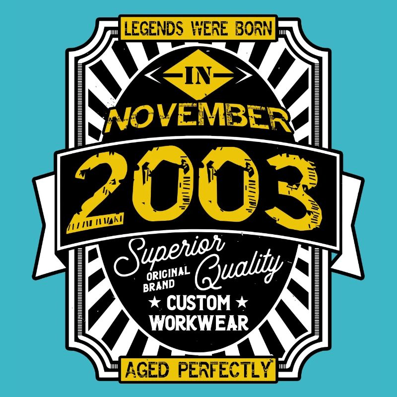 2003 NOVEMBER