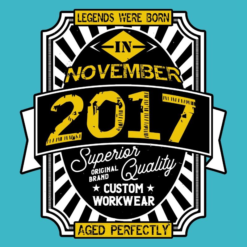 2017 NOVEMBER