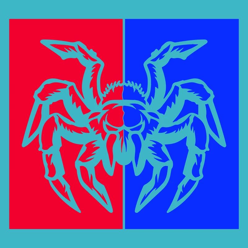 spider spider