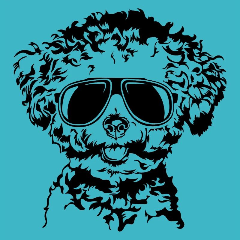 Bichon frisé Cool chien chiens Portrait Wilsigns