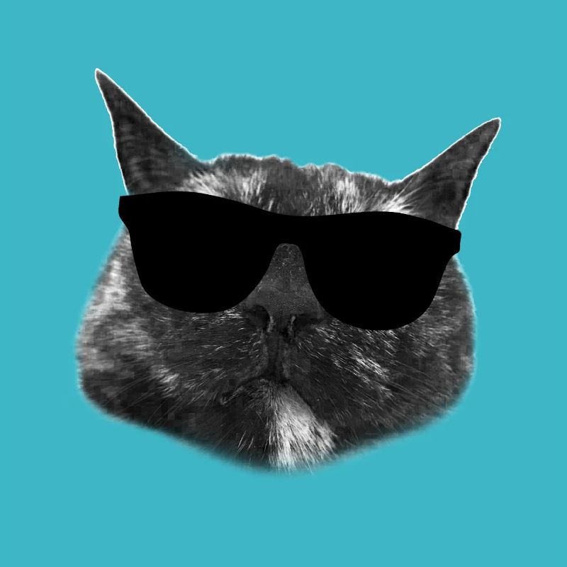 Cool Cat