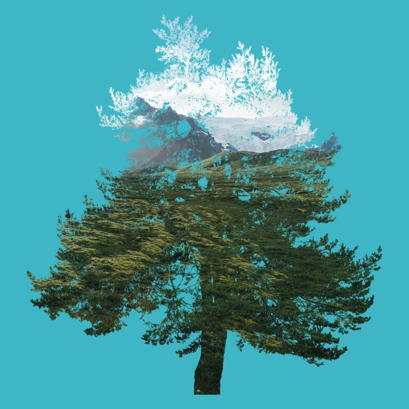 tree landscape