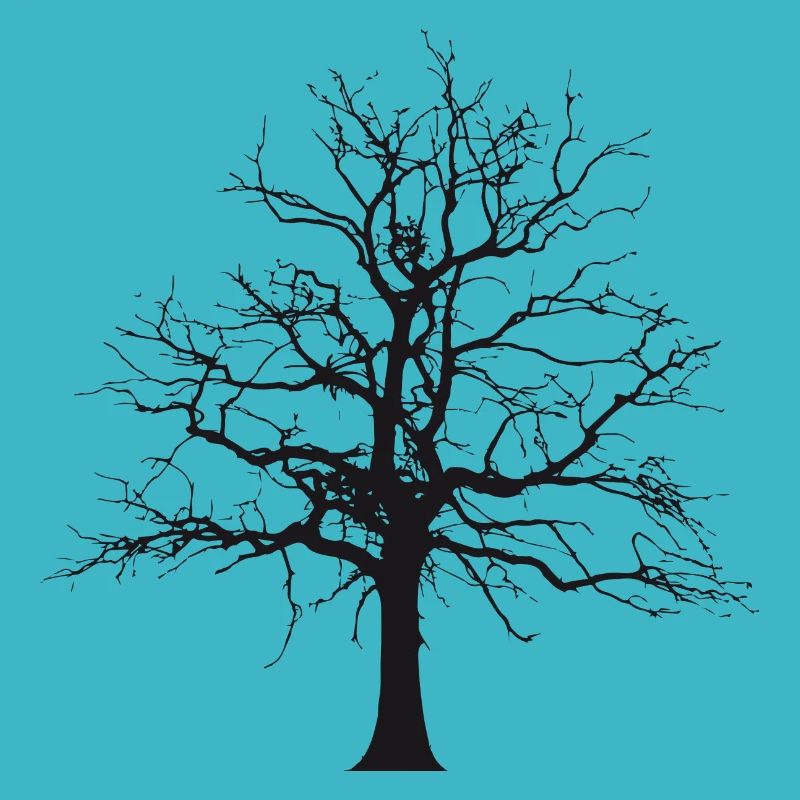Baum Schatten