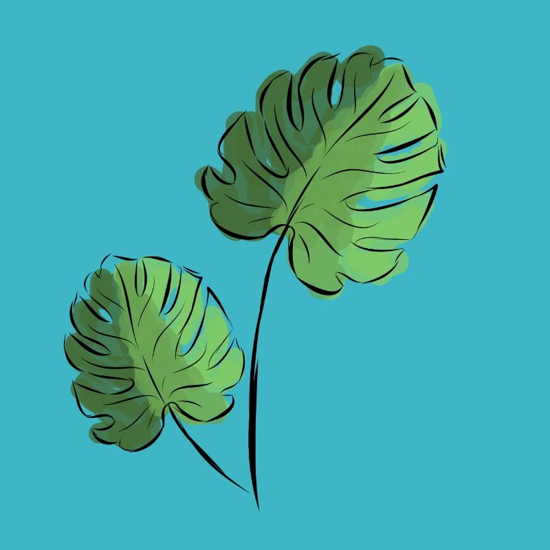 Monsetra branche avec deux feuilles