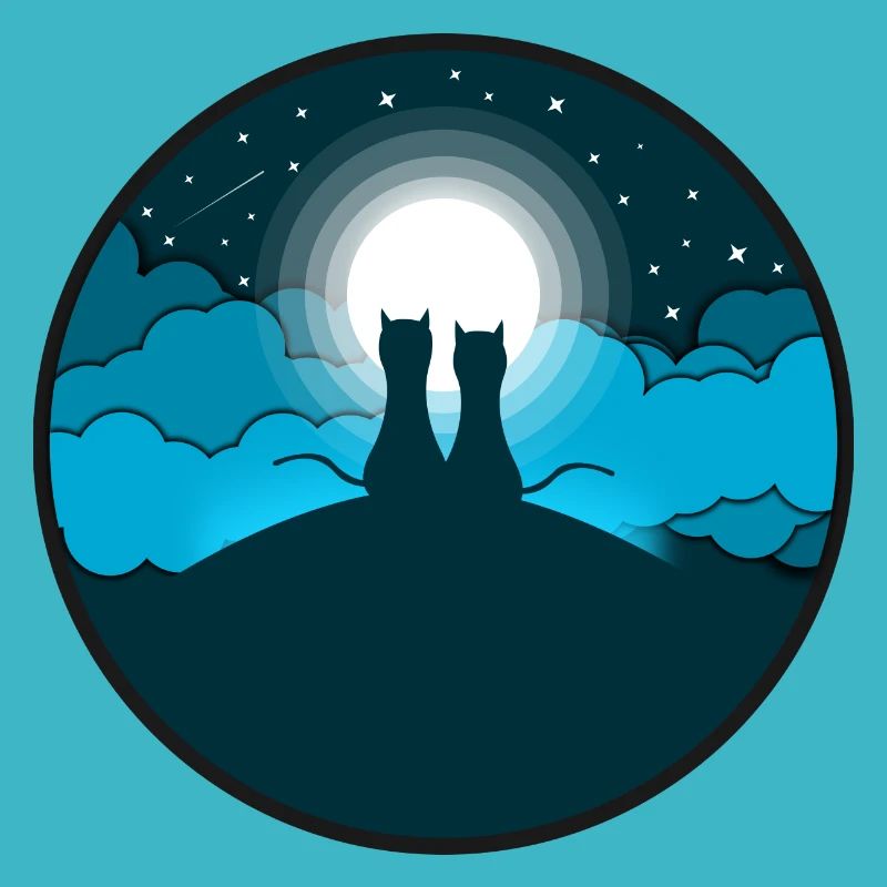 Cats Night Stars Stars Clouds Gift Heaven