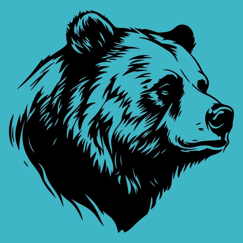 Bear Grizzly Animal