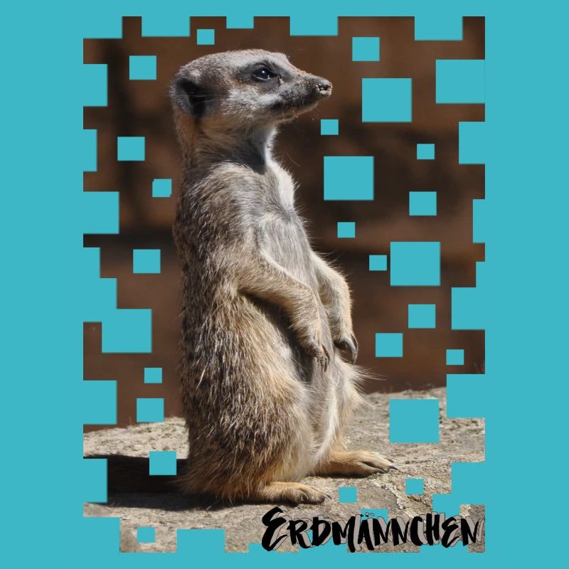 Erdmännchen