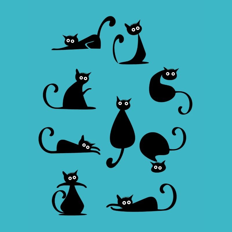 verschiedene Katzen Optik