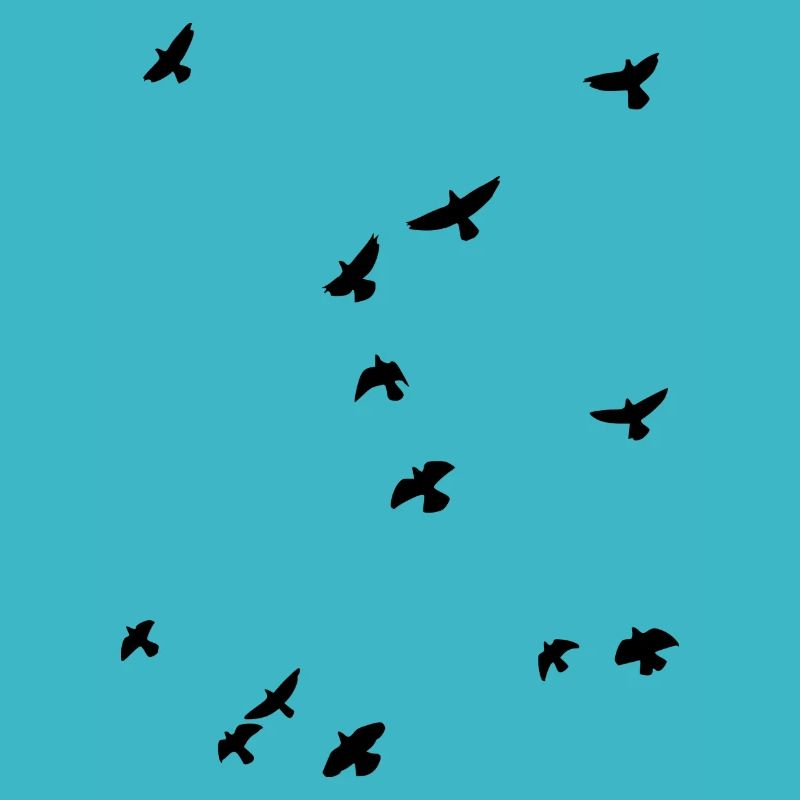 Oiseaux migrateurs dans le ciel