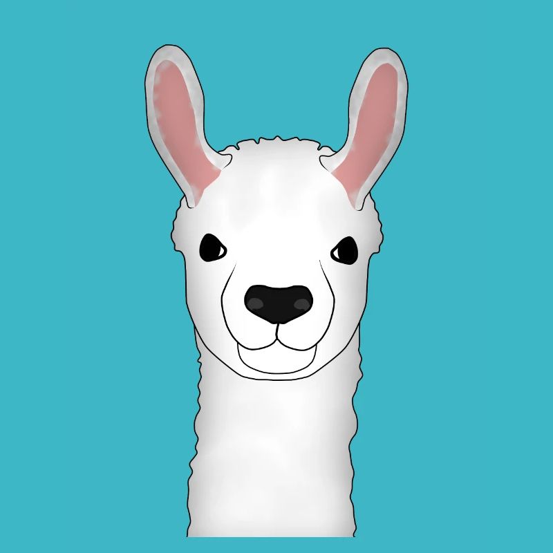 Alpaca head