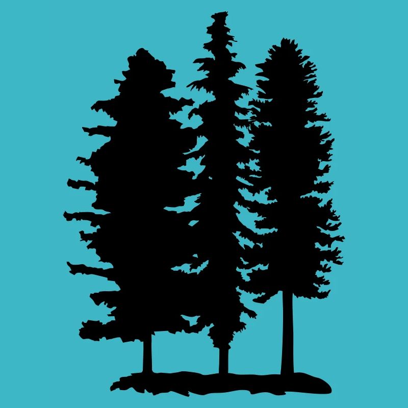 Wald, Bäume