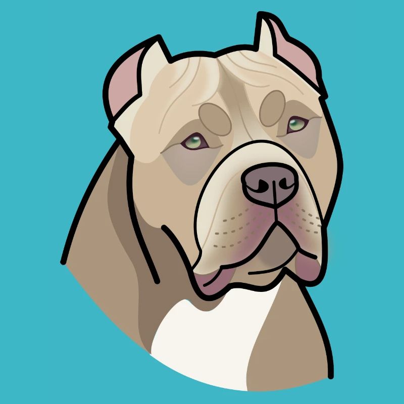 American Bully - head (colors)