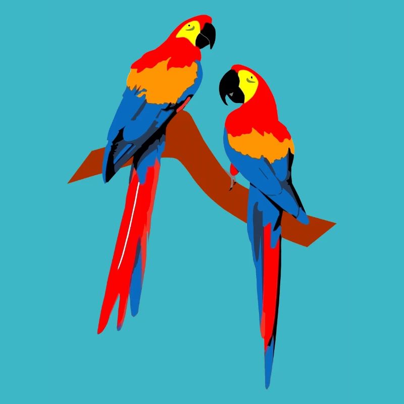 Parrots