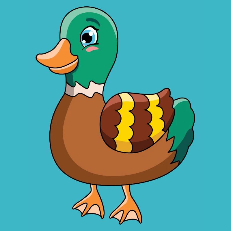Canard