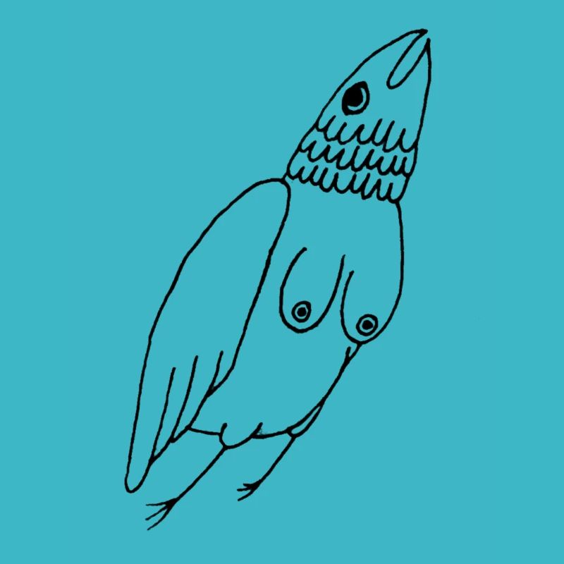 Boob Bird