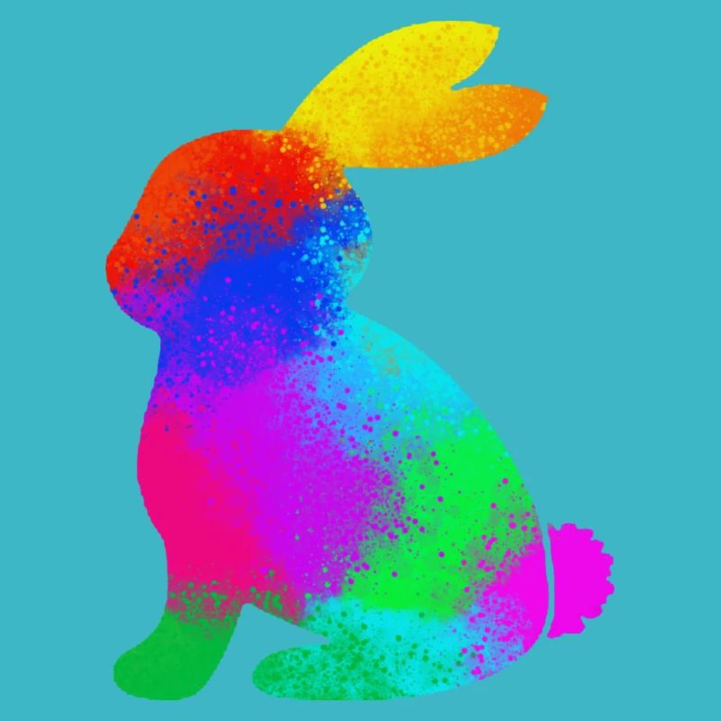 colorful rabbit