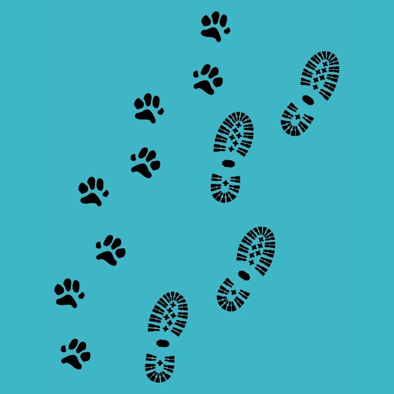 Empreinte de chaussure et empreinte de patte, randonnée avec chien