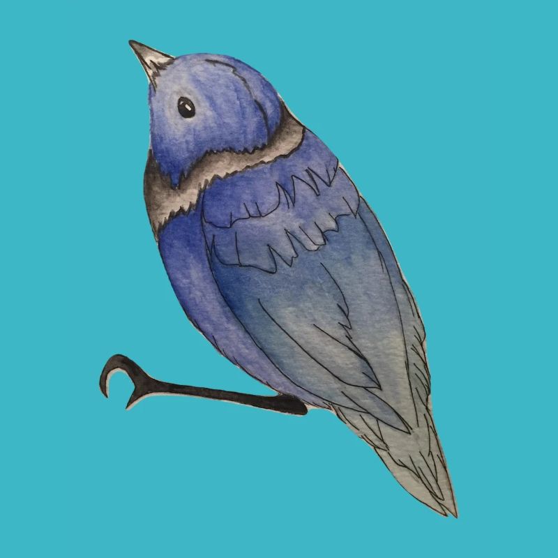 Vogel