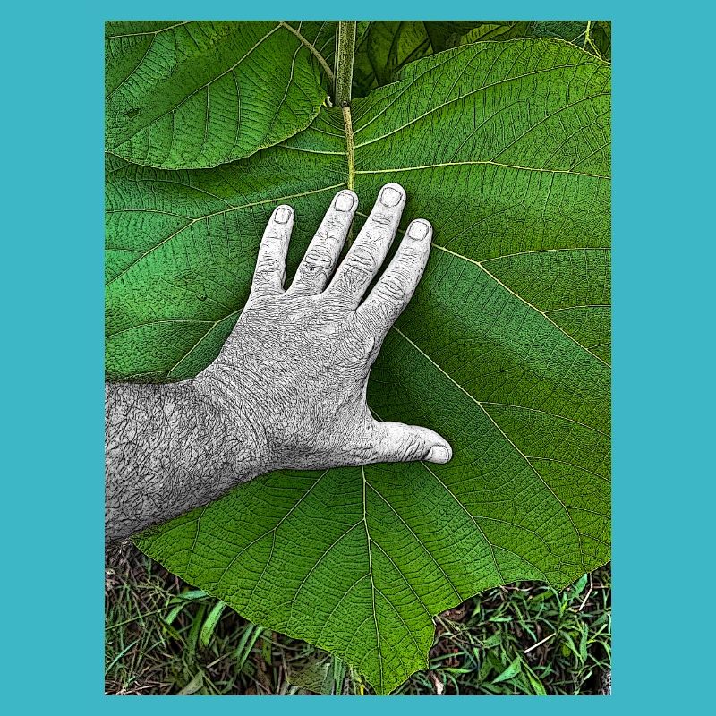 The hand on life