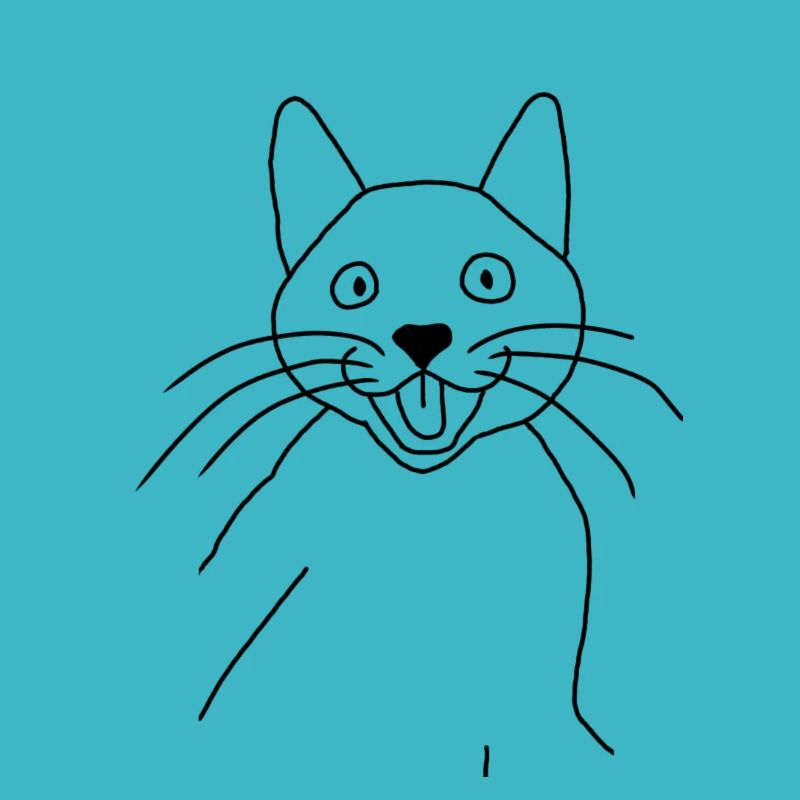 Chat rigolo