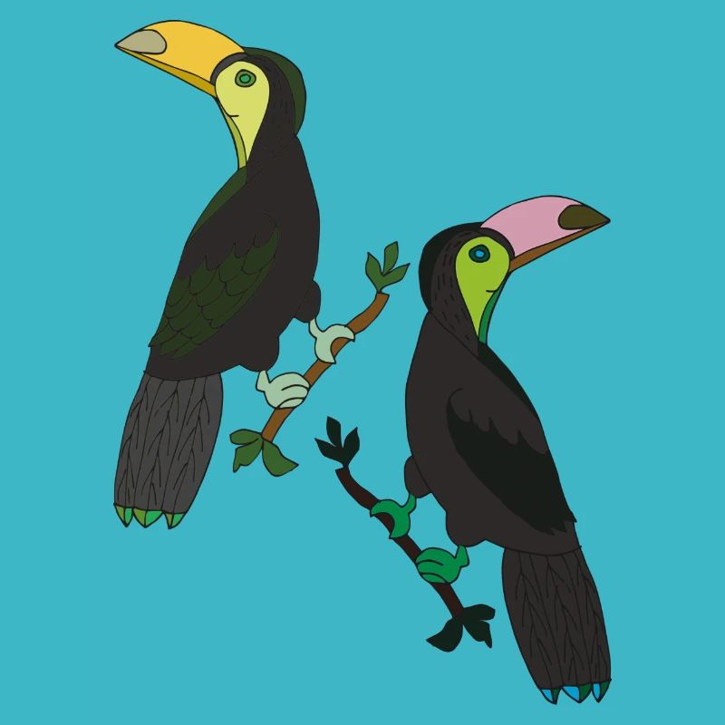 Toucan Deux