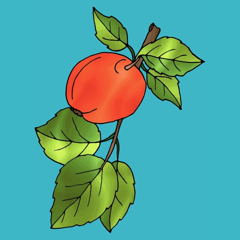 Apfel