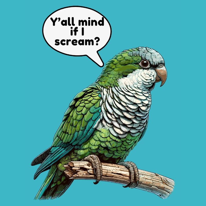 Quaker Parrot Monk Parakeet