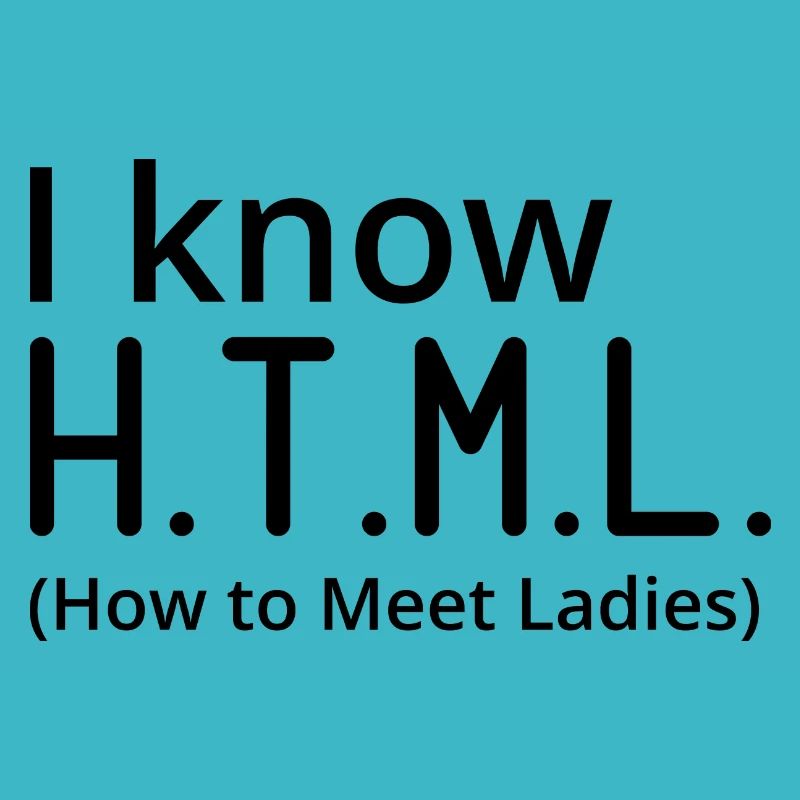 I Know HTML How To Meet Ladies Programmer Computer